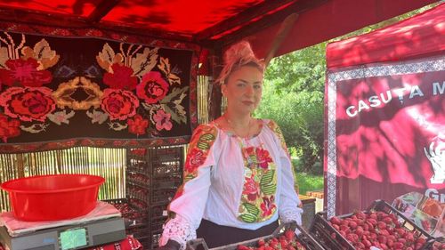 VIDEO. A început Festivalul Căpșunilor! Cultivatori din toată România s-au adunat în Parcul Izvor din București / Producător din Vrancea:  „Sunt căpșuni pentru toți bucureștenii”