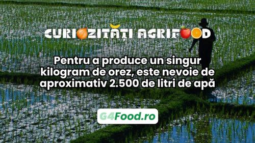 Curiozitate agri-food: Pentru a produce un singur kilogram de orez, este nevoie de aproximativ 2.500 de litri de apă
