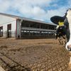 Harghita: Ferme și producători locali își deschid porțile pentru vizitatori, la Open Farm Weekend