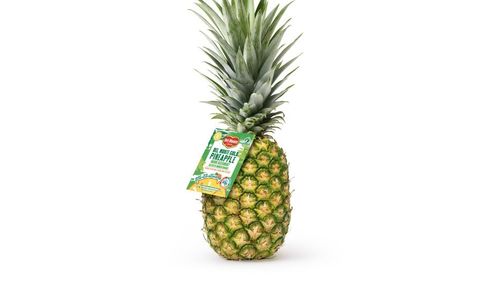Fresh Del Monte va produce un biofertilizator din deșeuri de ananas