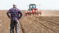 Un fermier român a dat statul în judecată după ce a pierdut ajutorul agricol. Ce a decis Curtea de Justiție a UE
