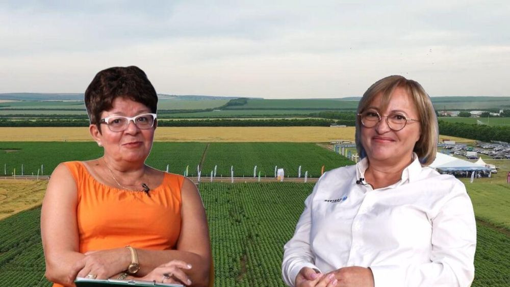 VIDEO | Agricultura în schimbare | România a pierdut 1 milion de hectare de porumb, în 3 ani / Maria Cîrjă (Corteva): „Fermierii își doresc culturi profitabile, dar schimbările climatice nu mai permit”