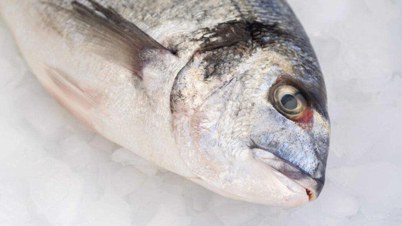 Pește alterat, produse fără trasabilitate și condiții improprii de depozitare / ANPC a sancționat peste 800 de operatori economici cu amenzi de peste 4,17 milioane de lei și sute de avertismente