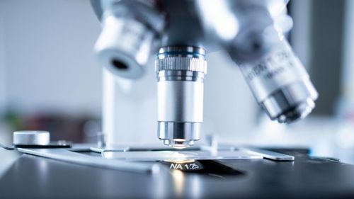 Toxiinfecțiile alimentare cauzate în România de cele mai răspândite bacterii de pe continentul european, Campylobacter și Salmonella: peste 2.400 de cazuri înregistrate în 2023, semnificativ mai multe decât în anul anterior  - raport EFSA ( I )