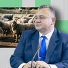 Va fi mielul de pe masa de Paște mai scump decât anul trecut? Horia Moruţan (președinte Asociația Crescătorilor de Ovine, Alba): Așa ar fi logic, dar nu cred. Degeaba crești prețul dacă nu are cum plăti cumpărătorul
