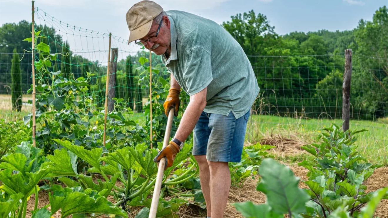 Cum au apărut fermele sociale în Italia și cum îmbină ele muncile agricole cu asistența socială și activitățile formative și de reinserție socială