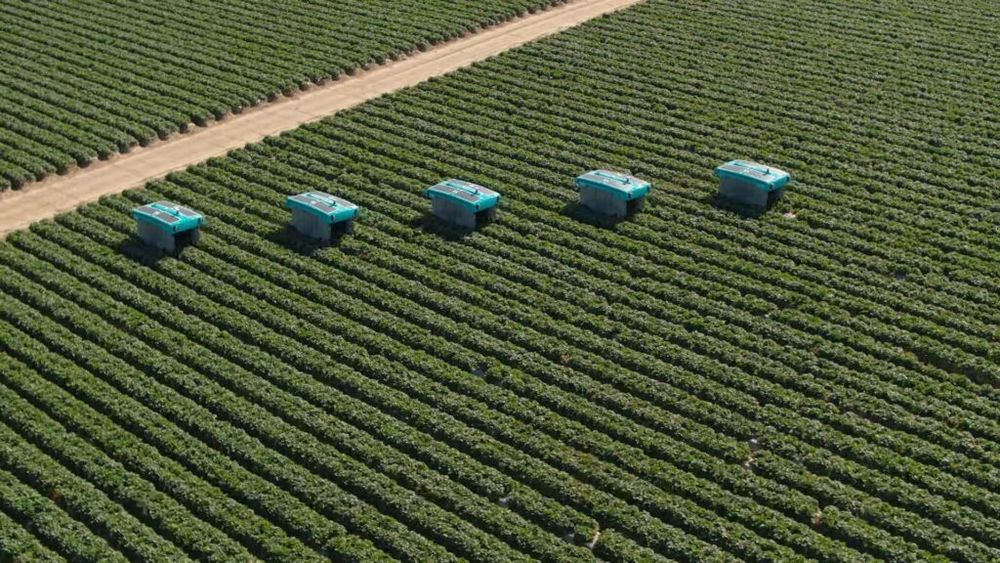 Alphabet (Google) renunță la startup-ul său Mineral din domeniul AgTech / Acesta se alătură unei liste lungi de firme, produse și servicii închise de gigant