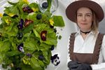 VIDEO | Salata cu gust de munte / Cum au ajuns mugurii de brad, afinele și fisticul în farfuria turiștilor din Cavnic.  Oana Poenar, marketing manager: „Uneori, inspirația vine chiar de la turiști”