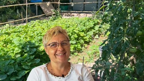 FOTO VIDEO | De la Sarmale la Tapas | Florina Gogea cultivă legume românești, în Zaragoza, Spania: „Am un rând întreg de leuștean. Îl folosesc la ciorbe. Fără leuștean, parcă nu-i românește”