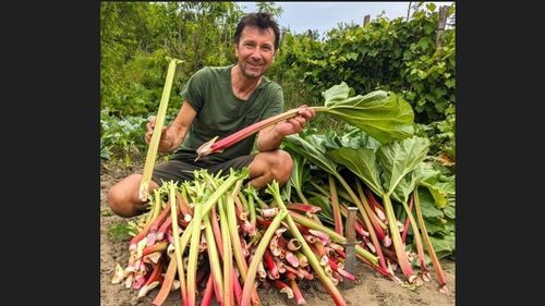 VIDEO | Cum a ajuns rubarba în chipsuri și deserturi regale, dar și soluție software de tip ERP / Mircea Muntean: „Rubarba românească conține cu 50% mai multe antrachinone decât soiul german. Probabil pentru că nu a fost niciodată tratată chimic”