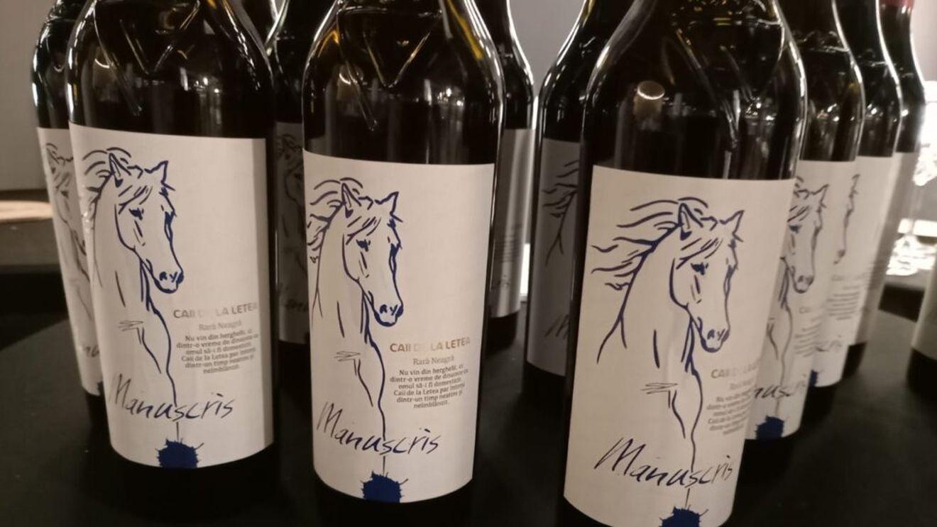 FOTO | Rara Neagră, soiul românesc „uitat” în țară, dar promovat intens de Republica Moldova / „Frații noștri de peste Prut, din 100 de hectare de Rară Neagră, vând anual în România, aproximativ 1,5 milioane de sticle”