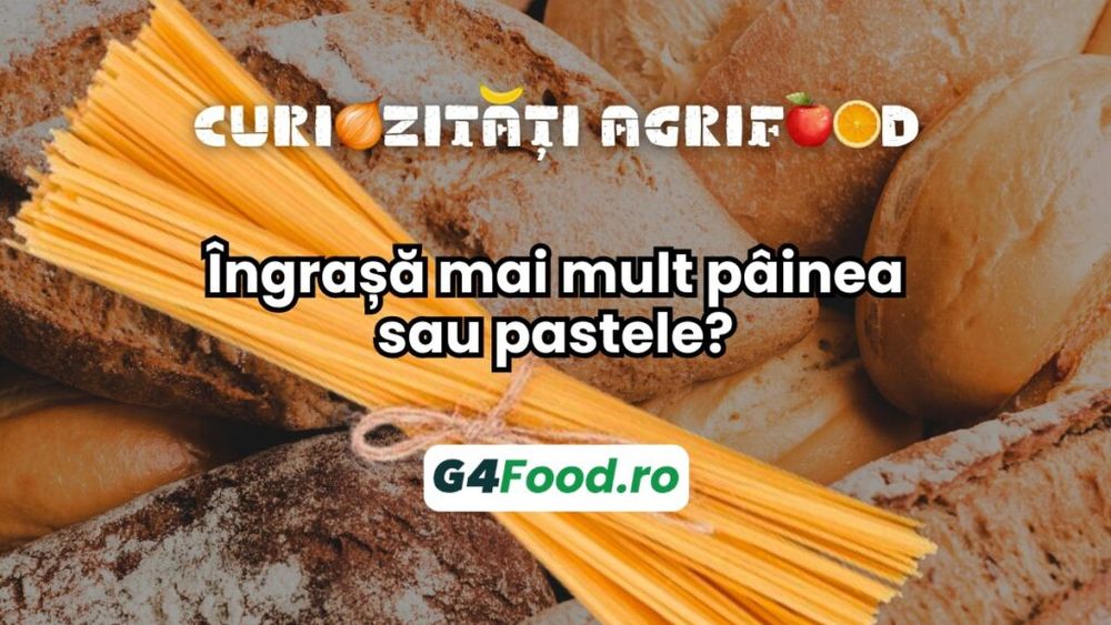 Curiozități agrifood – 03 octombrie: Îngrașă mai mult pâinea sau pastele?