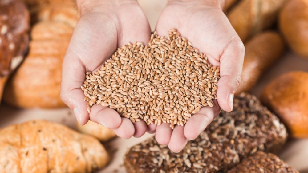 Forumul APPR: Scrisoare deschisă/Observații privind plafonarea cotei de adaos comercial la produsele agricole, alimentare, îngrășăminte, furaje și pesticide