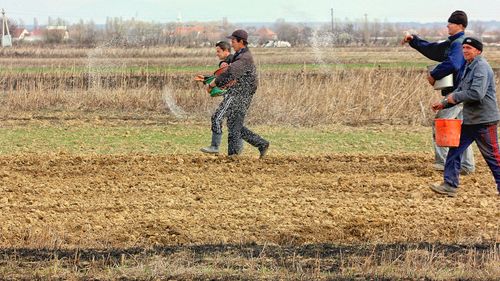 Număr mare de sinucideri în rândul fermierilor și în mediul rural din Polonia/ Fenomenul începe să afecteze și generațiile mai tinere