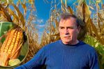 VIDEO | Porumbul „bătrânesc” pe care un fermier din Maramureș îl cultivă pentru găini și pârgă: „Ne-am dat seama că găinile noastre sunt mai sănătoase” / Ce spun studiile