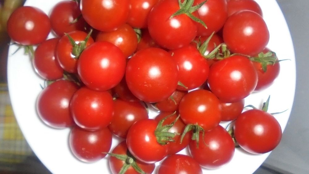 Autoritățile se laudă cu revirimentul agriculturii eco, dar întârzie actualizarea datelor oficiale pe siteul MADR