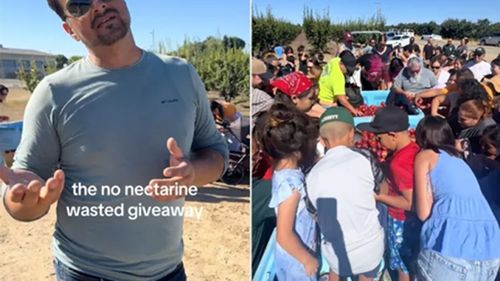 Un fermier din California oferă gratuit 57 de tone de nectarine / Spune că un conflict juridic l-a împiedicat să le mai vândă