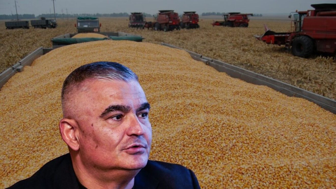 Presedintele AGRIColumn, Cezar Gheorghe, cere ANSVA controale la cerealele ce urmează să vină în România