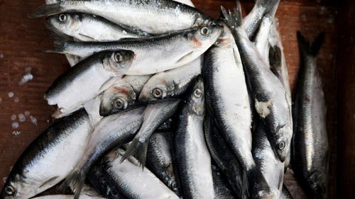 Inspectorii Autorității Naționale pentru Protecția Consumatorilor au descoperit pește stricat , cu risc pentru sănătatea consumatorilor