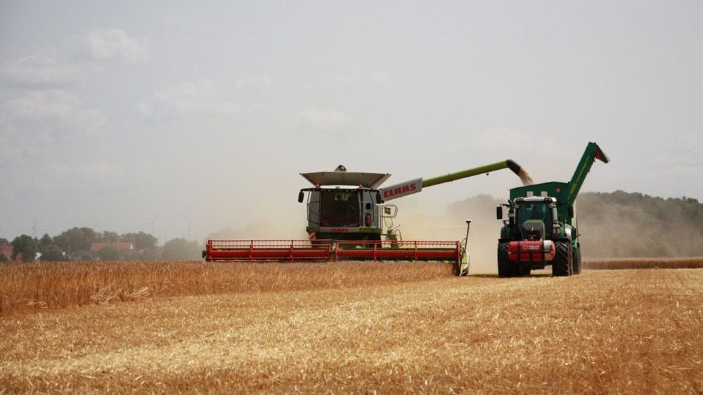 Comisia Europeană, despre agricultura UE în 2024: Va crește producția de cereale, oferta de lapte rămâne stabilă, cererea de carne de pasăre rămâne ridicată / Scade consumul de vin