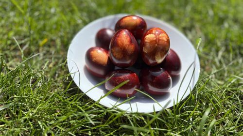 Masa de Paște fără excese alimentare / Ce combinații să eviți, mai ales dacă ai miel în meniu / Medicul Alis Grasu: „Pentru toate trebuie să existe moderație și cumpătare”