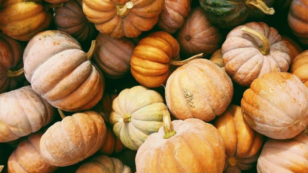 Ce poți face în acest weekend în București / Târgul Pâinii, Piața Țărănescă și Toamna Horticolă Bucureşteană