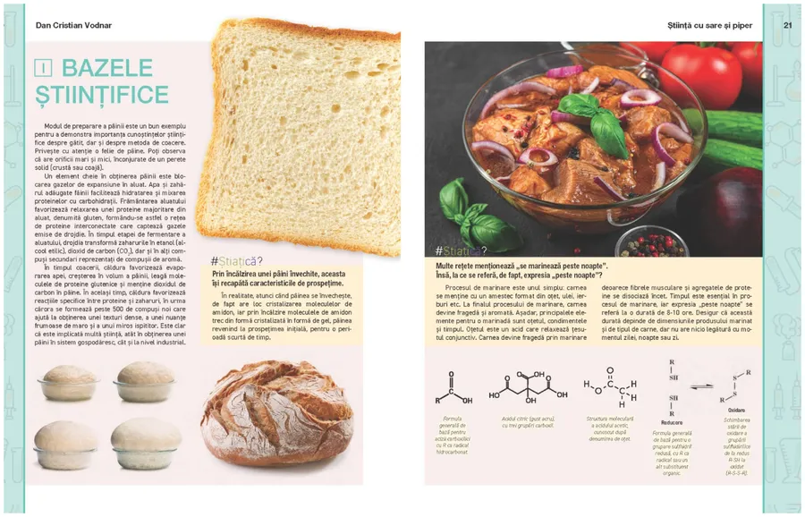  carte, dan c. vodnar, stiinta cu sare si piper, gatit