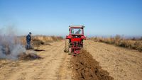 APIA plătește peste 150 de milioane de lei pentru motorina utilizată în agricultură. Peste 15.000 de fermieri beneficiază de ajutor