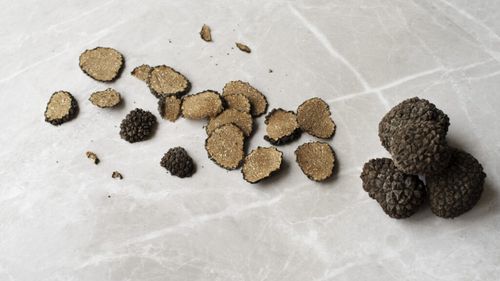 Recoltarea trufelor a început mai devreme din cauza căldurii