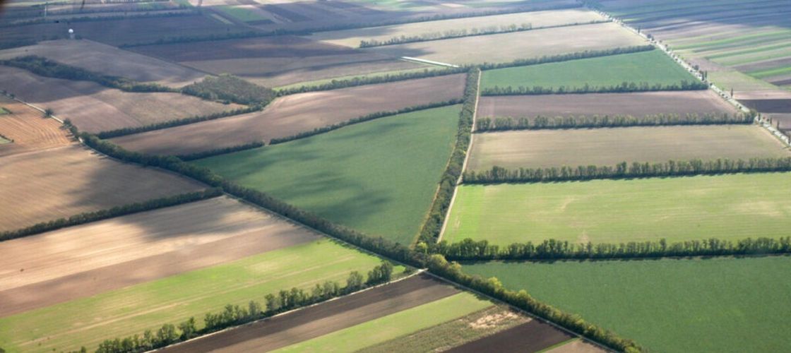 Fermierii mari controlează peste jumătate din terenurile agricole din Bihor. Numărul cererilor APIA continuă să scadă