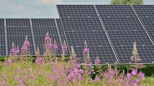 Panouri solare pentru ferme agricole: costuri, avantaje și dezavantaje. Care sunt principalele elemente de care să ții cont