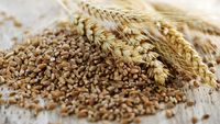 Ani la rând a fost considerat un „antinutrient” / Ce spun noile cercetări despre un compus care se găsește în leguminoase, nuci și cereale integrale