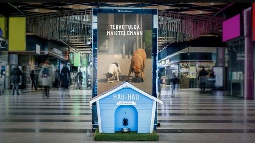 Vendomat cu hrană pentru câini înzestrat cu inteligență artificială, instalat în Finlanda