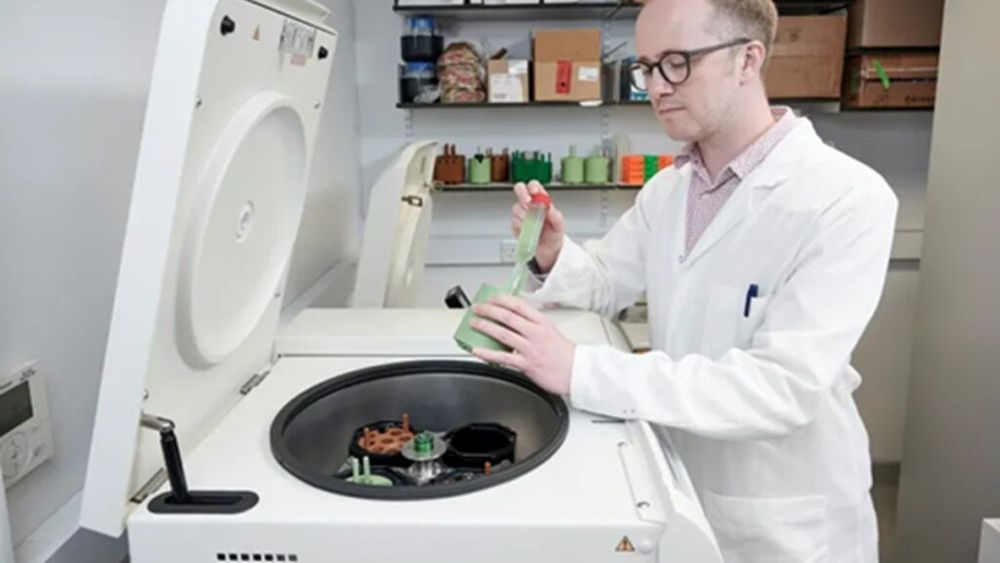 Plasticul din PET-uri ar putea fi transformat în medicamente pentru Parkinson / O echipă de cercetători a reușit să obțină levodopa din PET