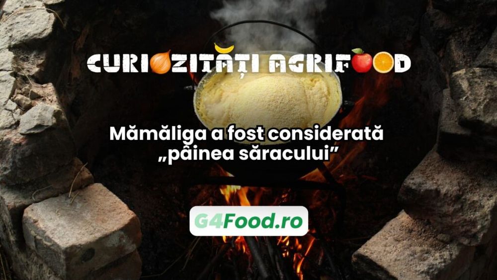 Curiozități agri-food 02 ianuarie: Mămăliga a fost considerată „pâinea săracului”