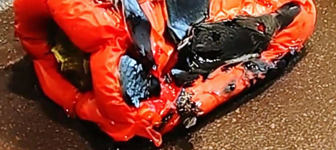 VIDEO FOTO | Cum coci și cureți rapid ardeii pentru ca zacusca să nu fie o provocare. Secretul simplu pe care îl știu de la mama