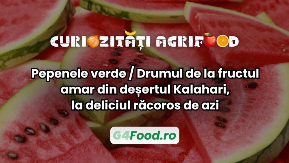 Curiozități agri-food: Pepenele verde / Drumul de la fructul amar din deșertul Kalahari, la deliciul răcoros de azi / În Egiptul antic, pepenele era oferit ca hrană pentru viața de apoi