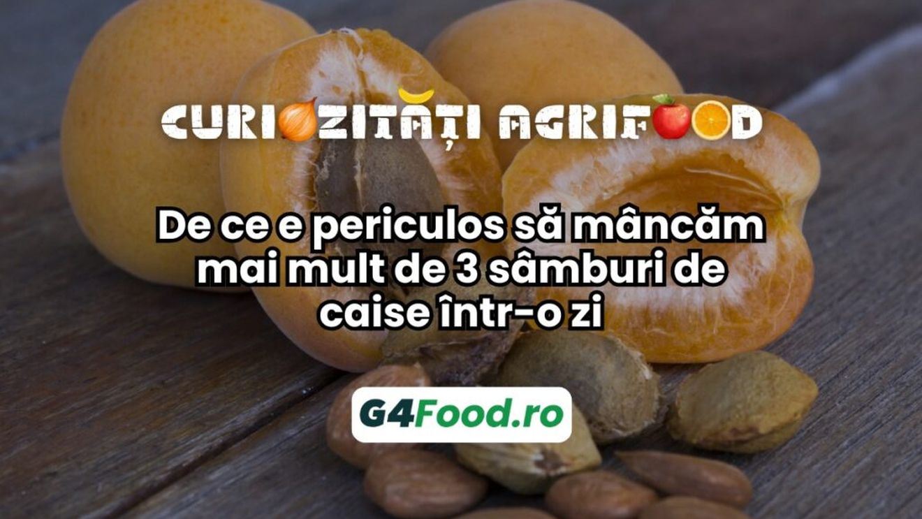 Curiozități agrifood – 01 noiembrie: De ce e periculos să mâncăm mai mult de 3 sâmburi de caise într-o zi