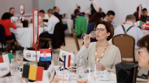 Premieră internațională la Constanța, la Concours Mondial de Bruxelles – Rosé Wines Session: AI-ul va analiza notele de degustare ale juraților și va crea un profil „calitativ” al fiecărui vin participant
