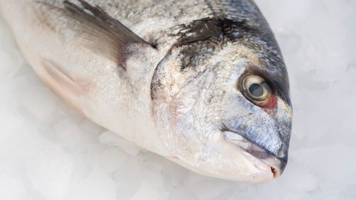 Pește alterat, produse fără trasabilitate și condiții improprii de depozitare / ANPC a sancționat peste 800 de operatori economici cu amenzi de peste 4,17 milioane de lei și sute de avertismente