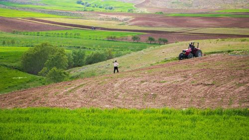 ANALIZĂ | Cine va mai produce hrana Europei? Radiografia unui schimb blocat de generații în agricultură / Cum e în România