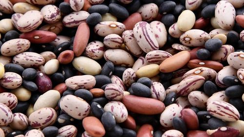 Fasolea de la A la Z. De la un cadou imperial la mâncarea populară de azi