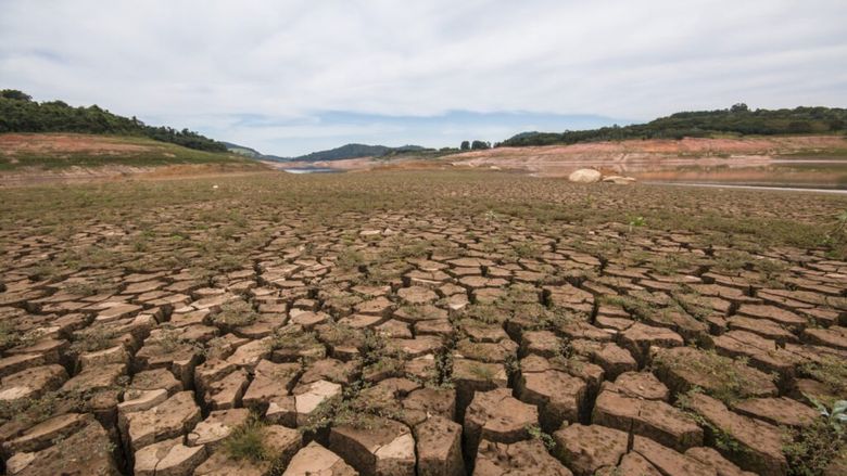 Seceta lovește din nou agricultura / Fermierii din Bihor cer despăgubiri pentru aproape 1.000 de hectare afectate
