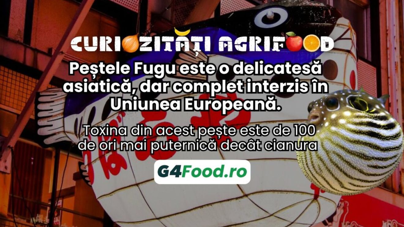 Curiozități agrifood - 9 octombrie: Peștele Fugu este o delicatesă asiatică, dar complet interzis în Uniunea Europeană. Toxina din acest pește este de 100 de ori mai puternică decât cianura