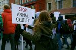 Peste 70 de ONG-uri și iubitori de animale ies în stradă la București. Protest de Ziua Internațională a Animalelor, față de modul în care autoritățile gestionează animalele