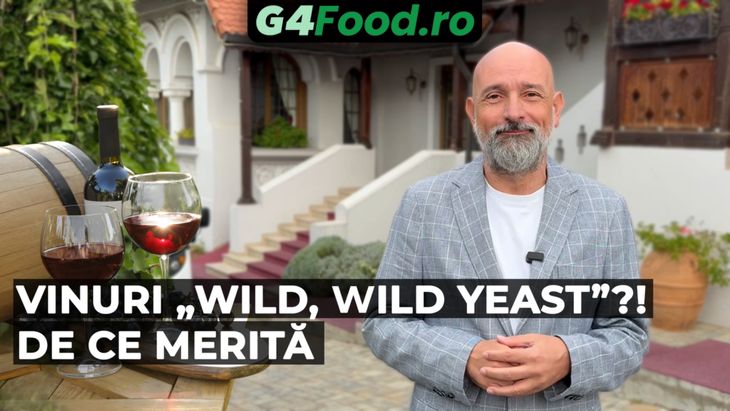 VIDEO | Connaisseur fără ifose (Ep. 95) | Vinurile cu „drojdii sălbatice”, noul trend în lumea vinului. Ce sunt și ce gust au