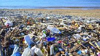 Cât plastic aruncă într-un an un european / Aproape 36 de kilograme de ambalaje de persoană, dar mai puțin de jumătate sunt reciclate