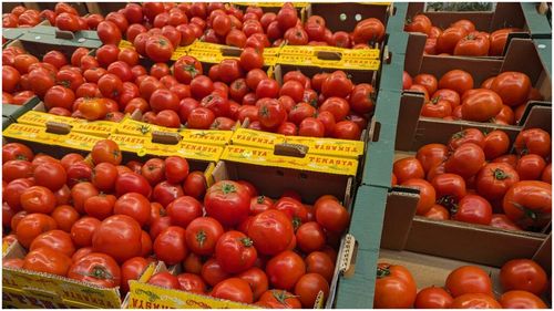 Cum să alegi tomatele la piață sau supermarket: 5 sfaturi de la un producător de legume bio / De ce nu trebuie să le păstrezi la frigider