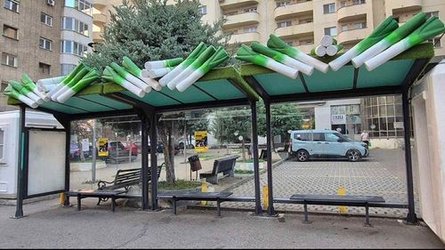 FOTO | Orașul din România unde primăria a montat fructe gigant peste stațiile de autobuz din municipiu / Times New Roman: „Dacă puneau praz, îl mâncau” 