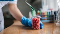 Carnea cultivată în laborator ar putea fi interzisă temporar în România. Parlamentarii au pe masă un proiect de lege